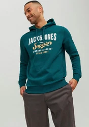 Jack & Jones Kapuzensweatshirt LOGO SWEAT HOOD Dunkelgrün/Grün/Türkis