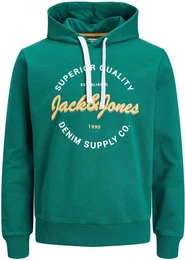 Kapuzensweatshirt JJ JJANDY SWEAT HOOD