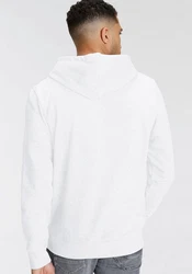 Jack & Jones Kapuzensweatshirt JJ JJANDY SWEAT HOOD Rot/Weiß/Gelb/Hellblau/Braun
