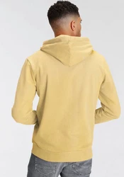 Jack & Jones Kapuzensweatshirt JJ JJANDY SWEAT HOOD Gelb