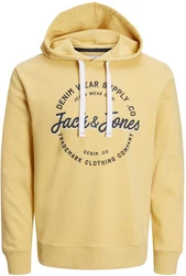 Jack & Jones Kapuzensweatshirt JJ JJANDY SWEAT HOOD Gelb