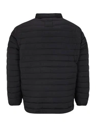 Jack & Jones Plus Übergangsjacke (1-St) schwarz