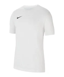 Nike T-Shirt Park 20 Dry Grau/Weiß/Silber