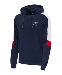 hummel Kapuzensweatshirt hmlIC CLAUDE HOODY Dunkelblau/Blau/Hellblau