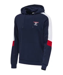 hummel Kapuzensweatshirt hmlIC CLAUDE HOODY Dunkelblau/Blau/Hellblau