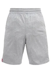 ALPHA INDUSTRIES Shorts Hellgrau/Grau