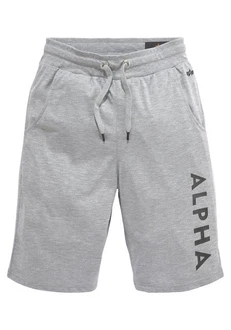 ALPHA INDUSTRIES Shorts Hellgrau/Grau