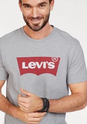 LEVI'S T-Shirt Graphic Set-In Neck Grau/Rot/Braun/Silber