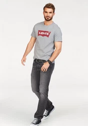 LEVI'S T-Shirt Graphic Set-In Neck Grau/Rot/Braun/Silber
