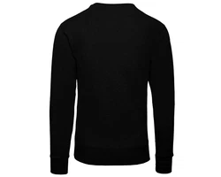 Ellesse Herren Sweatshirt SUCCISO schwarz