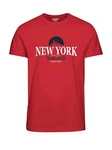 Jack & Jones T-Shirt JORBOOSTER Rosa