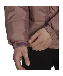adidas Originals Sweatjacke Essentials Winterjacke 