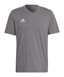 adidas Performance T-Shirt Entrada 22 