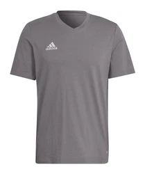 adidas Performance T-Shirt Entrada 22 