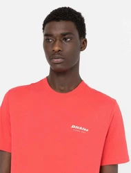 Dickies T-Shirt Leesburg Rot/Orange