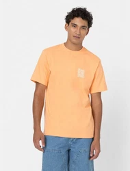 Dickies T-Shirt Creswell Orange/Gelb