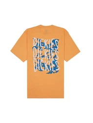 Dickies T-Shirt Creswell Orange/Gelb