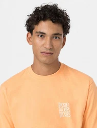 Dickies T-Shirt Creswell Orange/Gelb