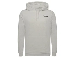 hummel Kapuzenpullover Legacy Gabe Herren Grau/Khaki/Braun