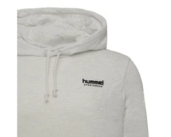 hummel Kapuzenpullover Legacy Gabe Herren Grau/Khaki/Braun