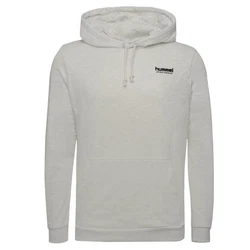 hummel Kapuzenpullover Legacy Gabe Herren Grau/Khaki/Braun