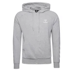 hummel Sweatjacke Isam 2.0 Zip Herren Grau/Hellgrau