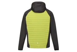 Regatta Funktionsjacke Softshelljacke Hybrid Andreson VII Grün/Neonfarben