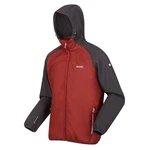 Regatta Funktionsjacke Softshelljacke Arec III Dunkelrot/Bordeaux/Braun/Rot