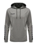 hummel Sweatshirt Authentic Poly Hoody F8745 F8745