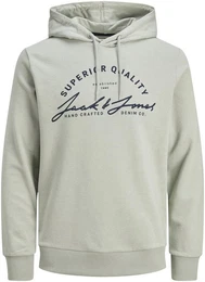 Kapuzensweatshirt JJACE SWEAT HOOD