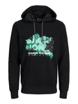 Jack & Jones Longsweatshirt JCOMARINA SWEAT HOOD Grün/Dunkelgrün/Schwarz
