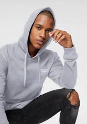 Vans Kapuzensweatshirt RELAXED FIT PO Grau/Hellgrau