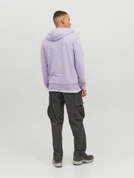 Jack & Jones Longsweatshirt JCOMARINA SWEAT HOOD Lila/Fliederfarben