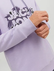 Jack & Jones Longsweatshirt JCOMARINA SWEAT HOOD Lila/Fliederfarben