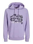 Jack & Jones Longsweatshirt JCOMARINA SWEAT HOOD Lila/Fliederfarben