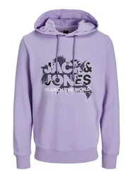 Jack & Jones Longsweatshirt JCOMARINA SWEAT HOOD Lila/Fliederfarben