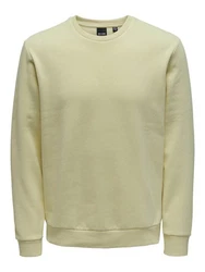 ONLY & SONS Sweatshirt Ceres 
