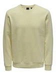 ONLY & SONS Sweatshirt Ceres 