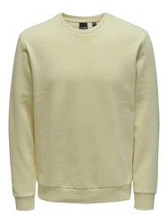 ONLY & SONS Sweatshirt Ceres 