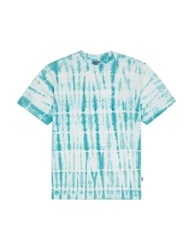 Dickies T-Shirt Westfir Türkis/Grün