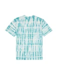Dickies T-Shirt Westfir Türkis/Grün