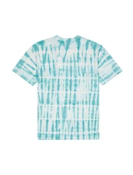 Dickies T-Shirt Westfir Türkis/Grün