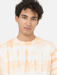 Dickies T-Shirt Westfir Orange/Beige