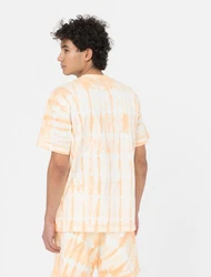 Dickies T-Shirt Westfir Orange/Beige
