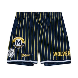 Shorts University Of Michigan Hometown