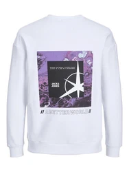 Jack & Jones Longsweatshirt JCOFILO SUMMER SWEAT CREW NECK 