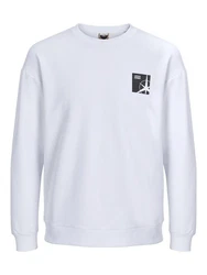 Jack & Jones Longsweatshirt JCOFILO SUMMER SWEAT CREW NECK 
