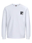 Jack & Jones Longsweatshirt JCOFILO SUMMER SWEAT CREW NECK 