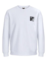 Jack & Jones Longsweatshirt JCOFILO SUMMER SWEAT CREW NECK 
