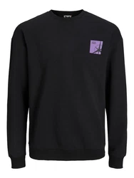 Jack & Jones Longsweatshirt JCOFILO SUMMER SWEAT CREW NECK Dunkelblau/Lila/Schwarz
